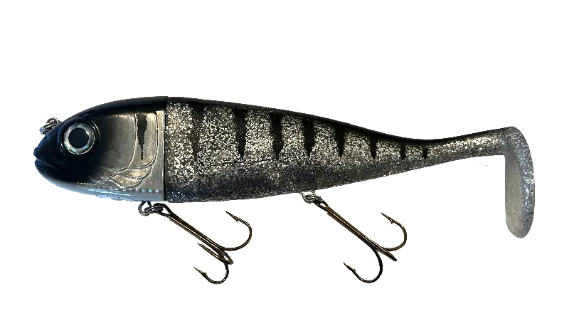 Disco Shad