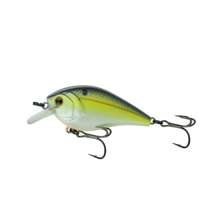 Sexified Chartreuse Shad