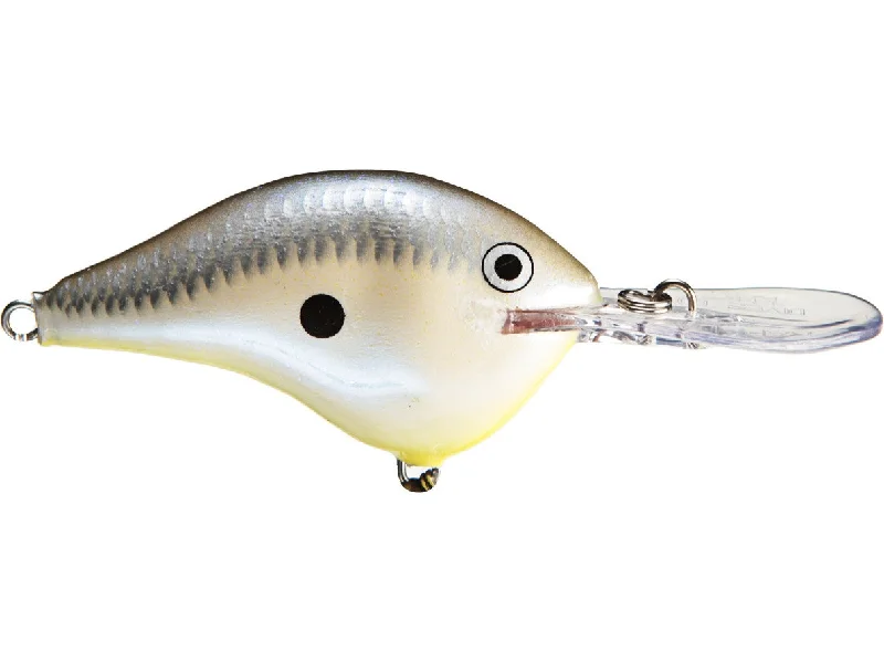 Disco Shad