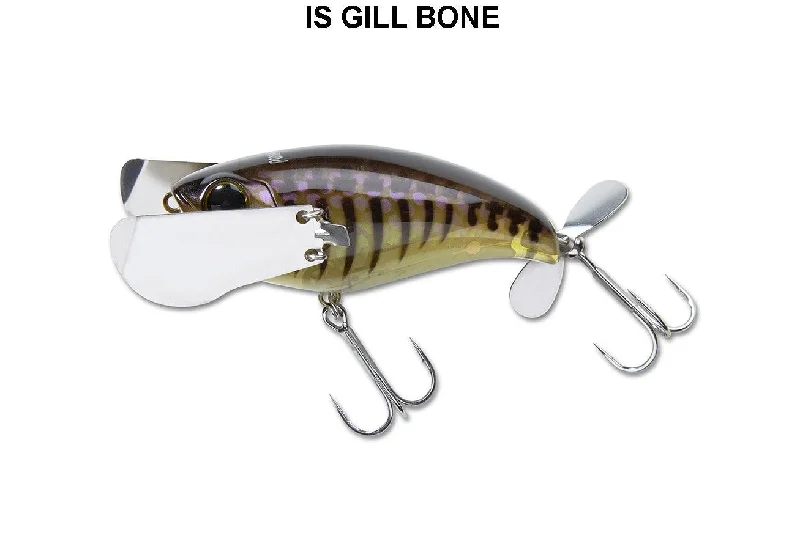 Is Gill Bone