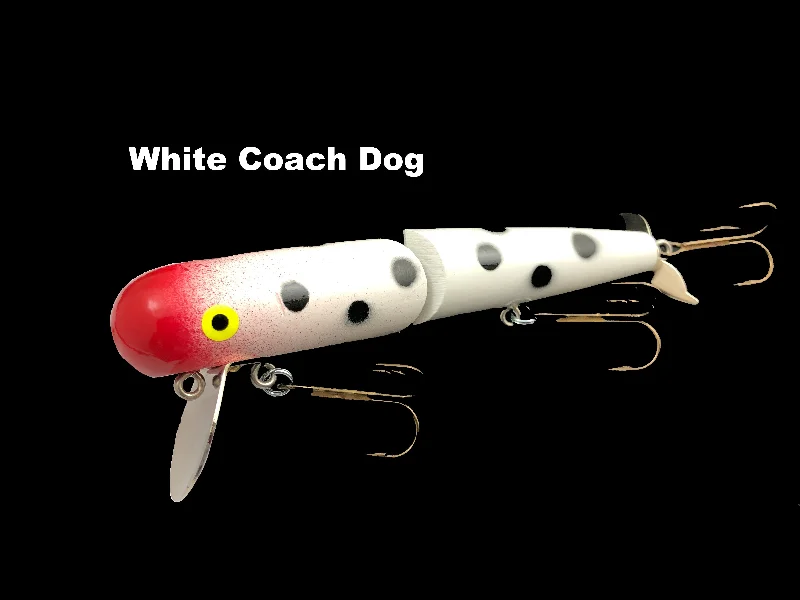 White Coach Dog