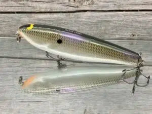 Gizzard Shad Pearl