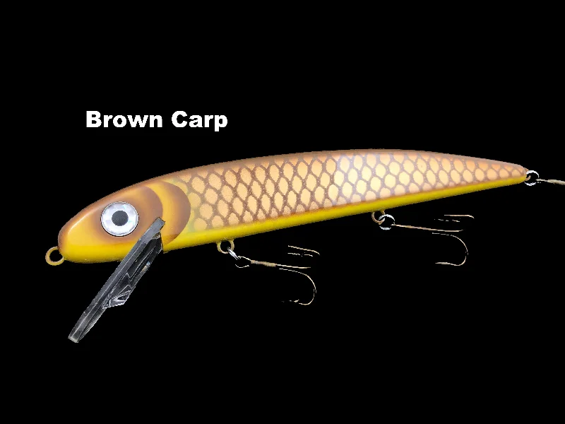 Brown Carp (TRO Exclusive)