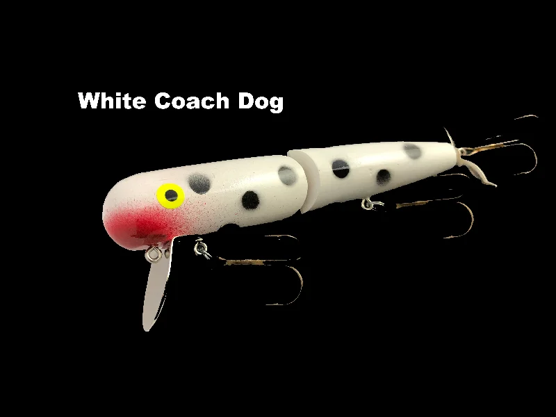 White Coach Dog