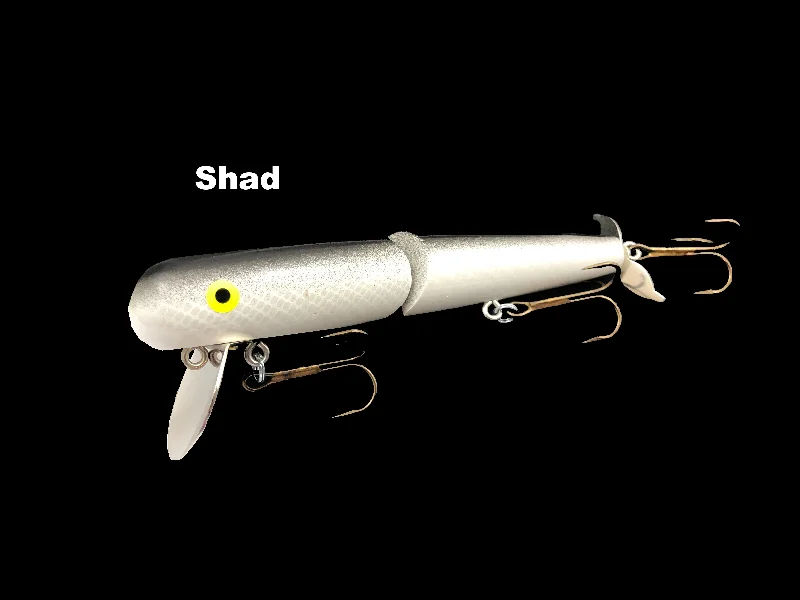 Shad