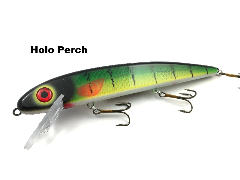 Holo Perch