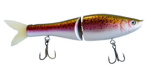 Adult Trout