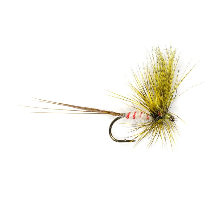 Fishing hook easy tie-O'CONNOR'S MAY OLIVE