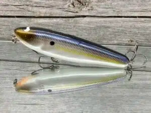 Threadfin Shad Pearl