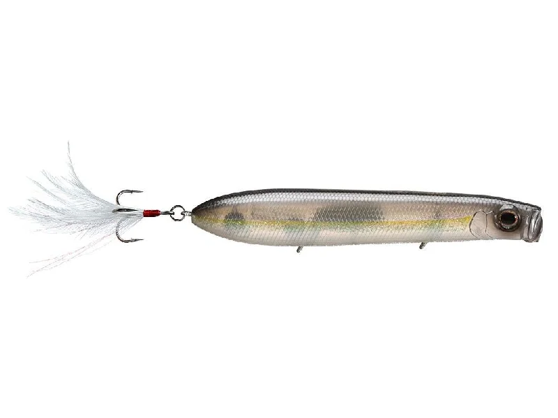 american shad