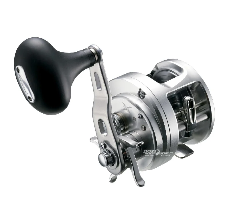 Fishing hook small size-Shimano Ocea Calcutta 300HG Reel