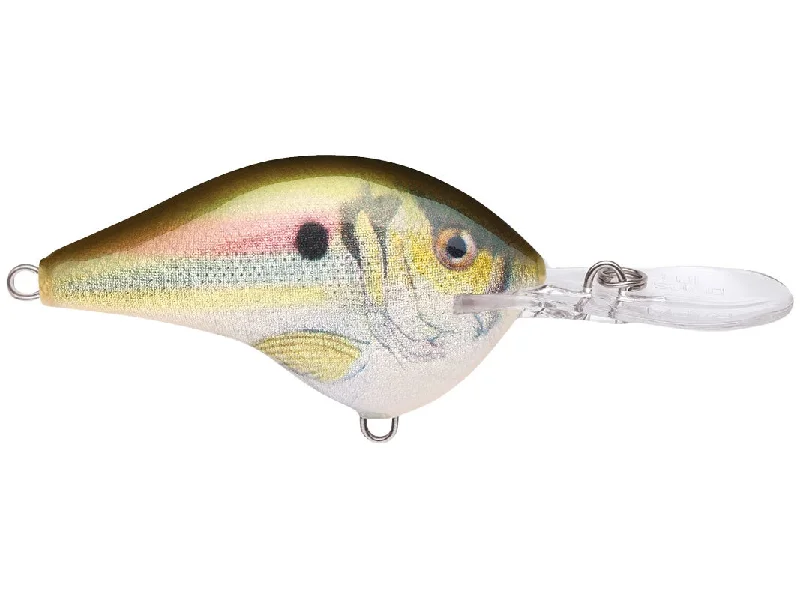 Live River Shad