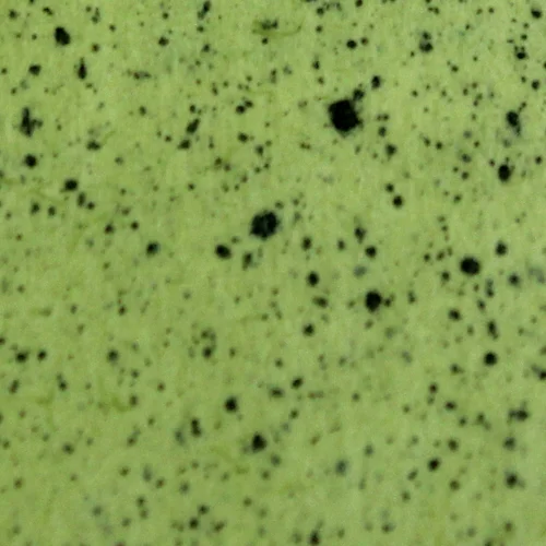 Insect Green Speckled