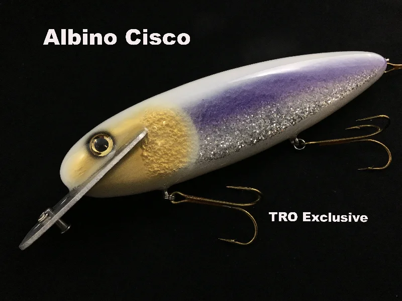 Albino Cisco (TRO Exclusive)