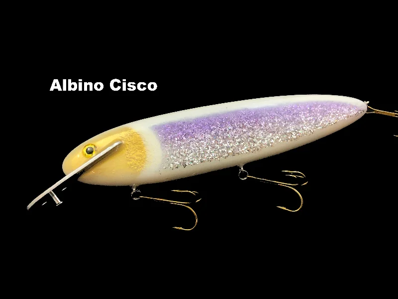 Albino Cisco (TRO Exclusive)