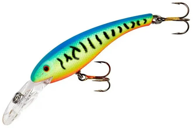 Chartreuse Blue Tiger