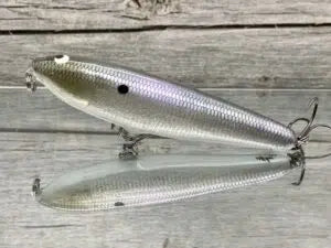 Foiled American Shad