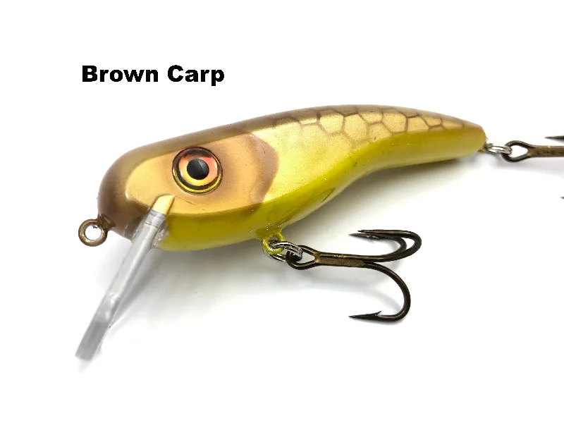 Brown Carp* (TRO Exclusive)