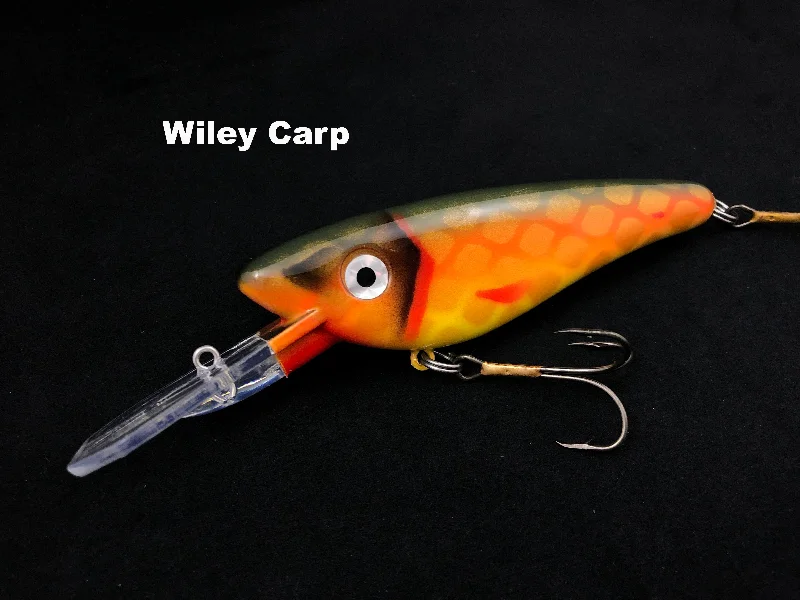 Wiley Carp